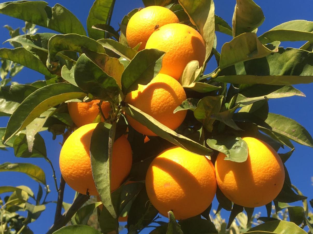 Casa Limonero Villa Casarabonela Eksteriør bilde